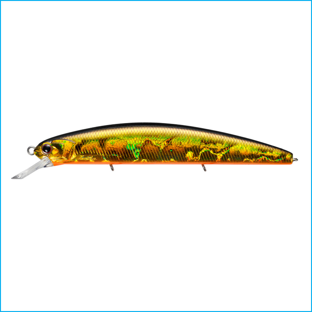 rudra