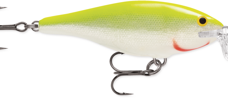 rapala shad rap ssr9