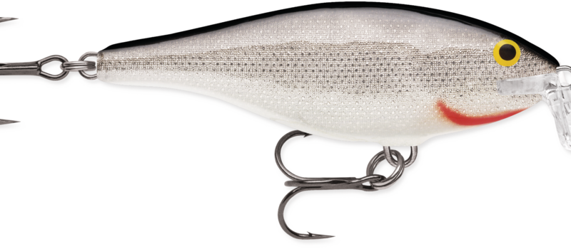rapala shad rap ssr9