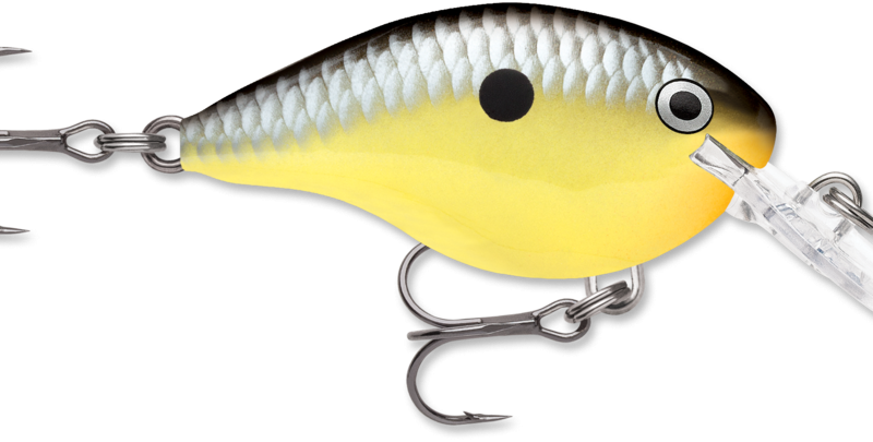rapala