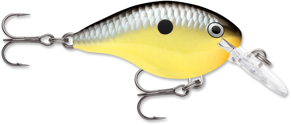rapala
