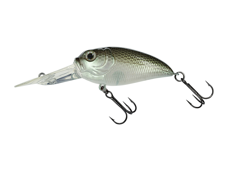 molix Sculpo DR Rattlin´