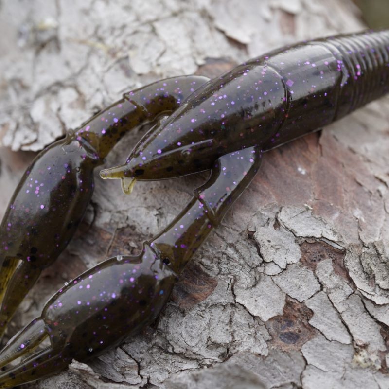 Perca Negra Walter Craw