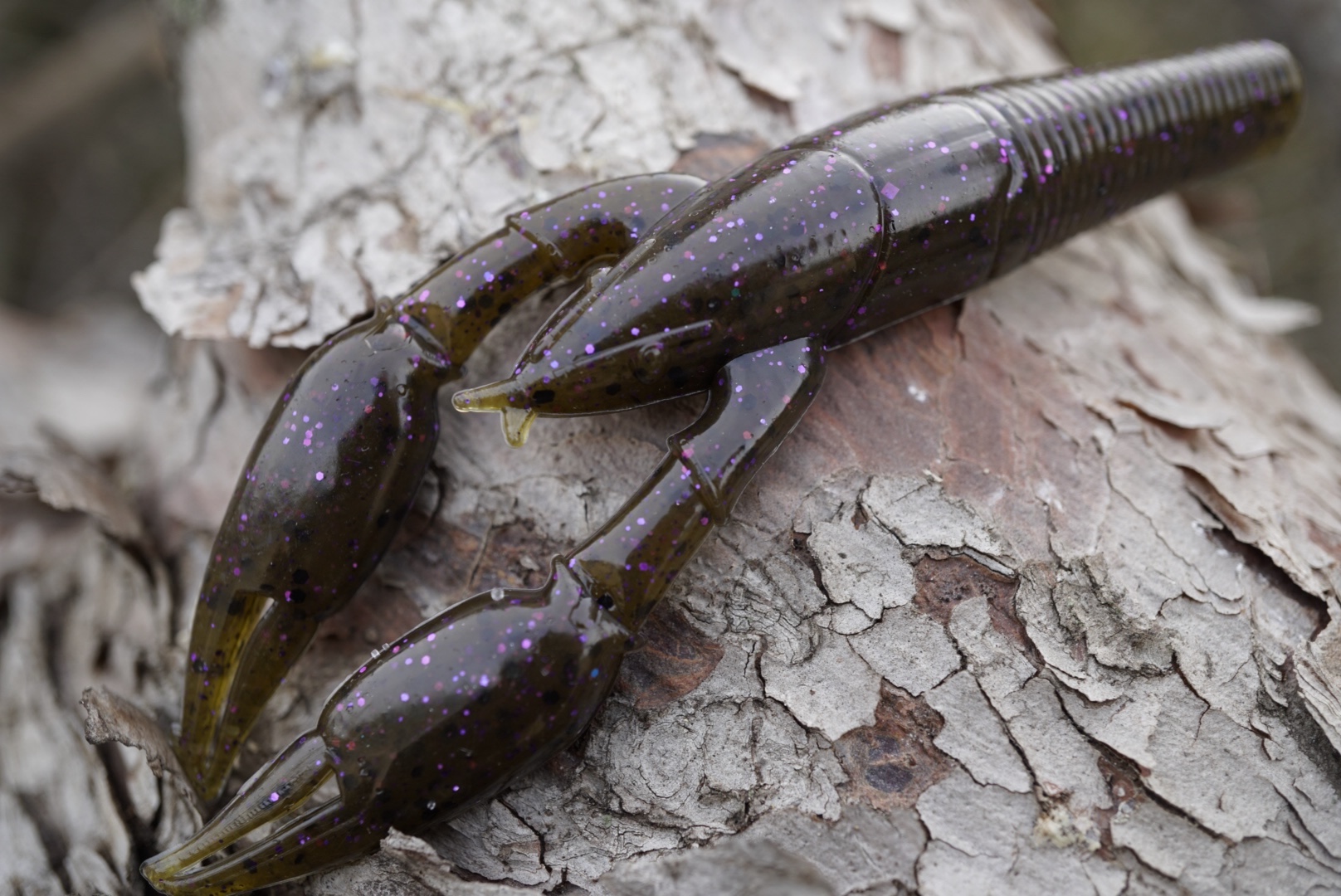 Perca Negra Walter Craw