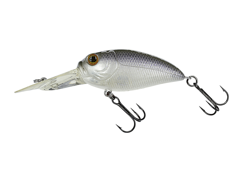 molix Sculpo