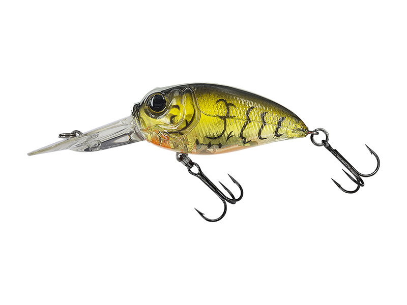 MOLIX SCULPO