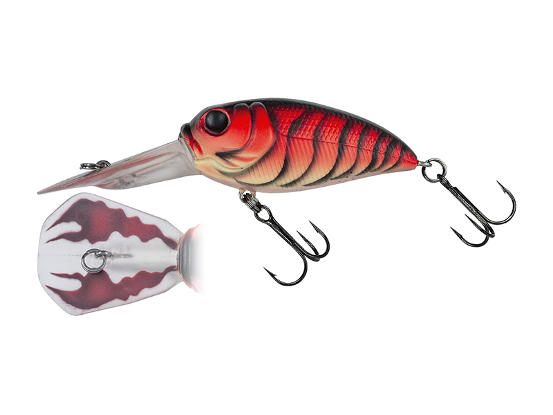 MOLIX SCULPO