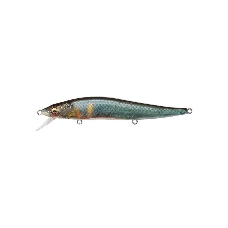 Megabass Vision