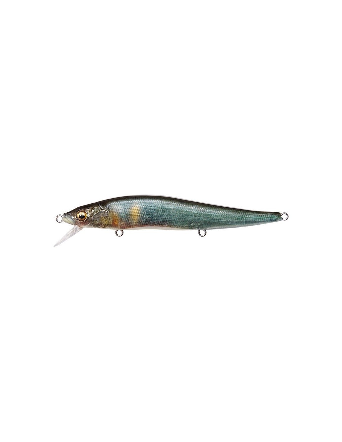 Megabass Vision