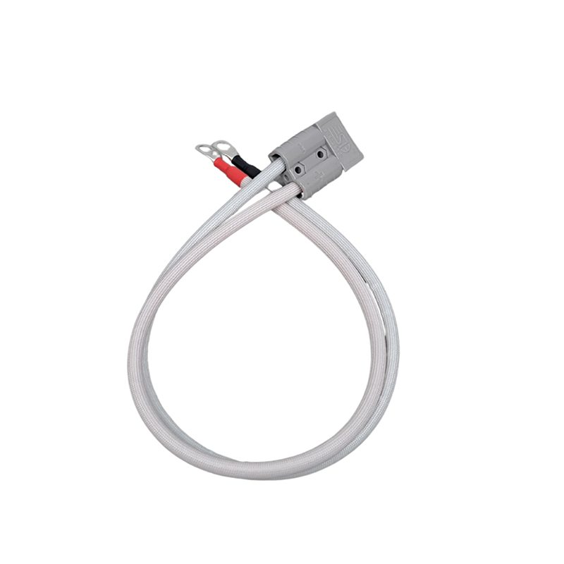 Batería de Litio LiFePO4 PoweryMax TX12100 ( 12v - 100ah ) + Cargador Inteligente - Imagen 2